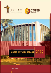 COFEB annual activity report