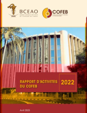 Rapport d'activités 2022 du COFEB